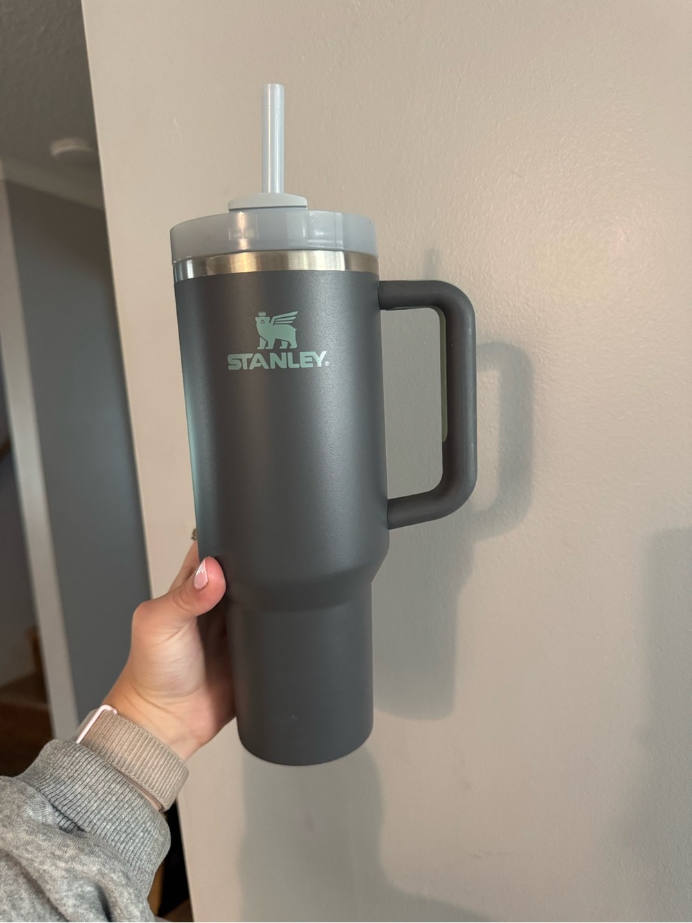 Stanley Gray Insulated Travel Mug with Handle and Straw 40oz